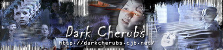Dark Cherubs