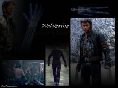 Wolverine: one of a kind